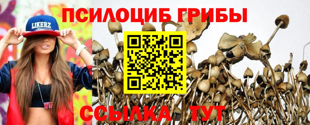Электрогорск  Псилоцибиновые грибы мицелий  где найти наркотики  Вход с VPN  Псилоцибиновые грибы MAGIC MUSHROOMS 